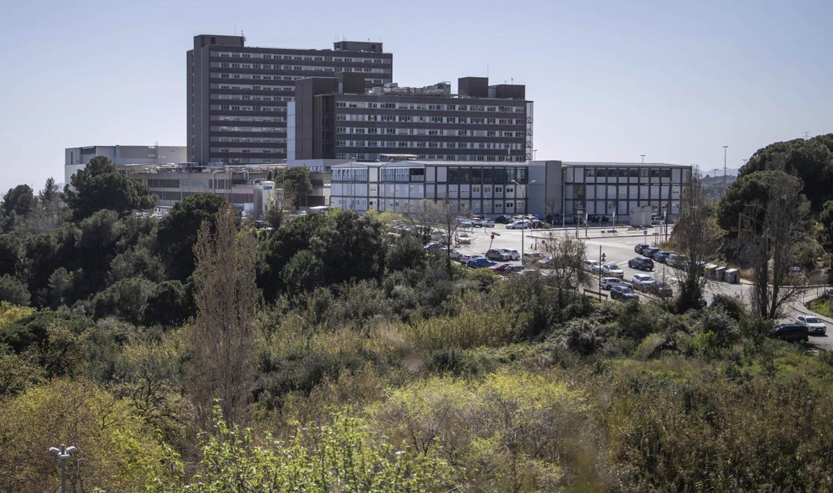 Can Ruti serà pioner a implantar la IA en converses metge-pacient