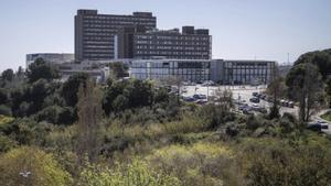 Can Ruti serà pioner a implantar la IA en converses metge-pacient