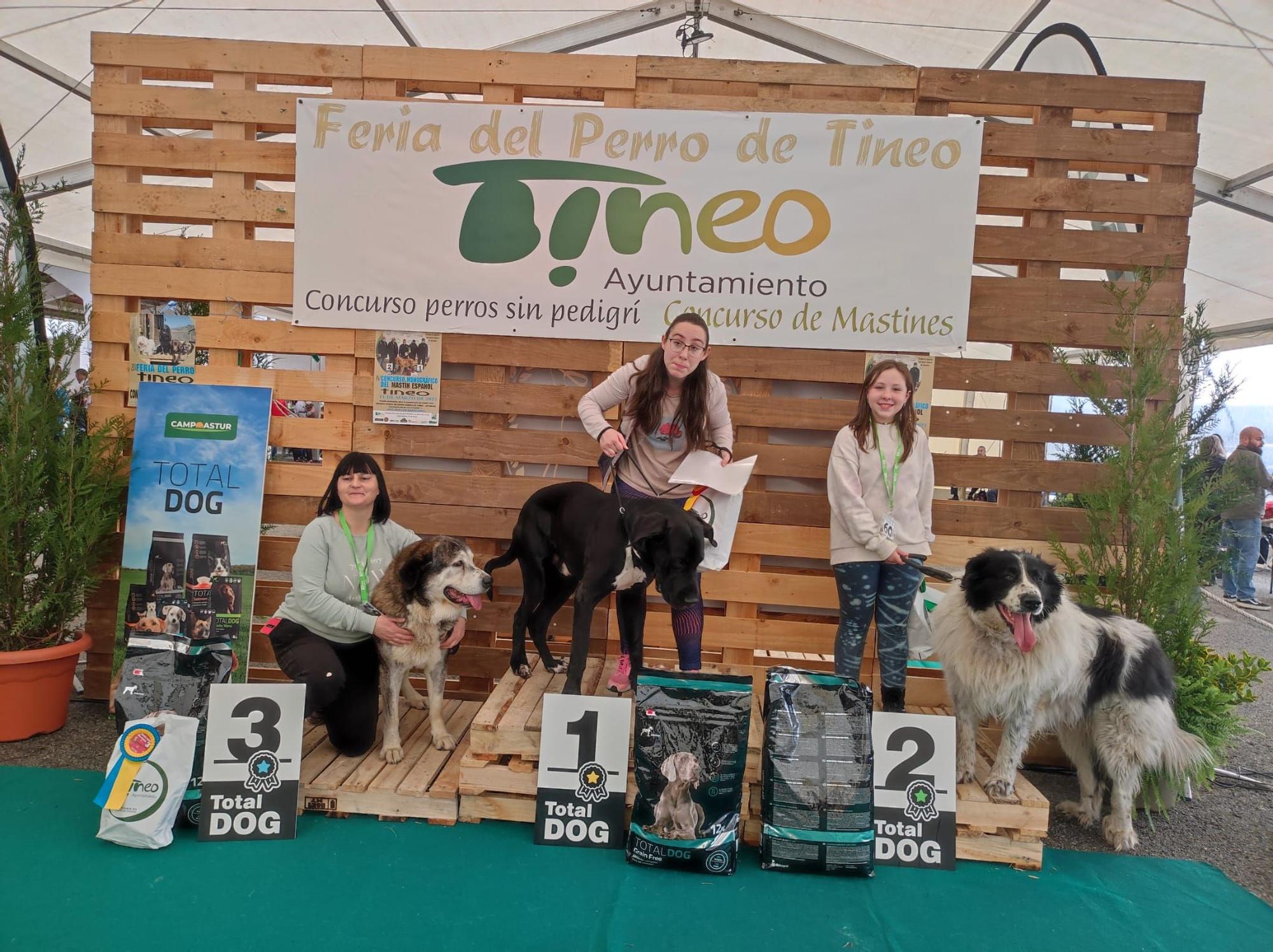 Éxito de público y animales en la 28ª Feria del Perro de Tineo