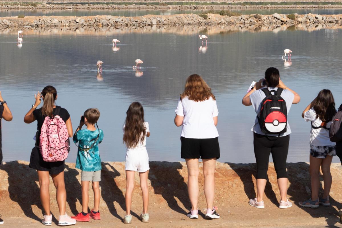 Galería: Así es una visita guiada al Parc Natural de ses Salines