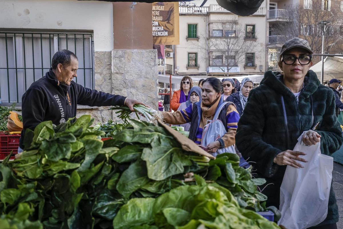 An den Ständen des Mercat de Pere Garau türmt sich Wintergemüse. Am besten kombinieren Sie es mit weiteren Ballaststoffquellen.