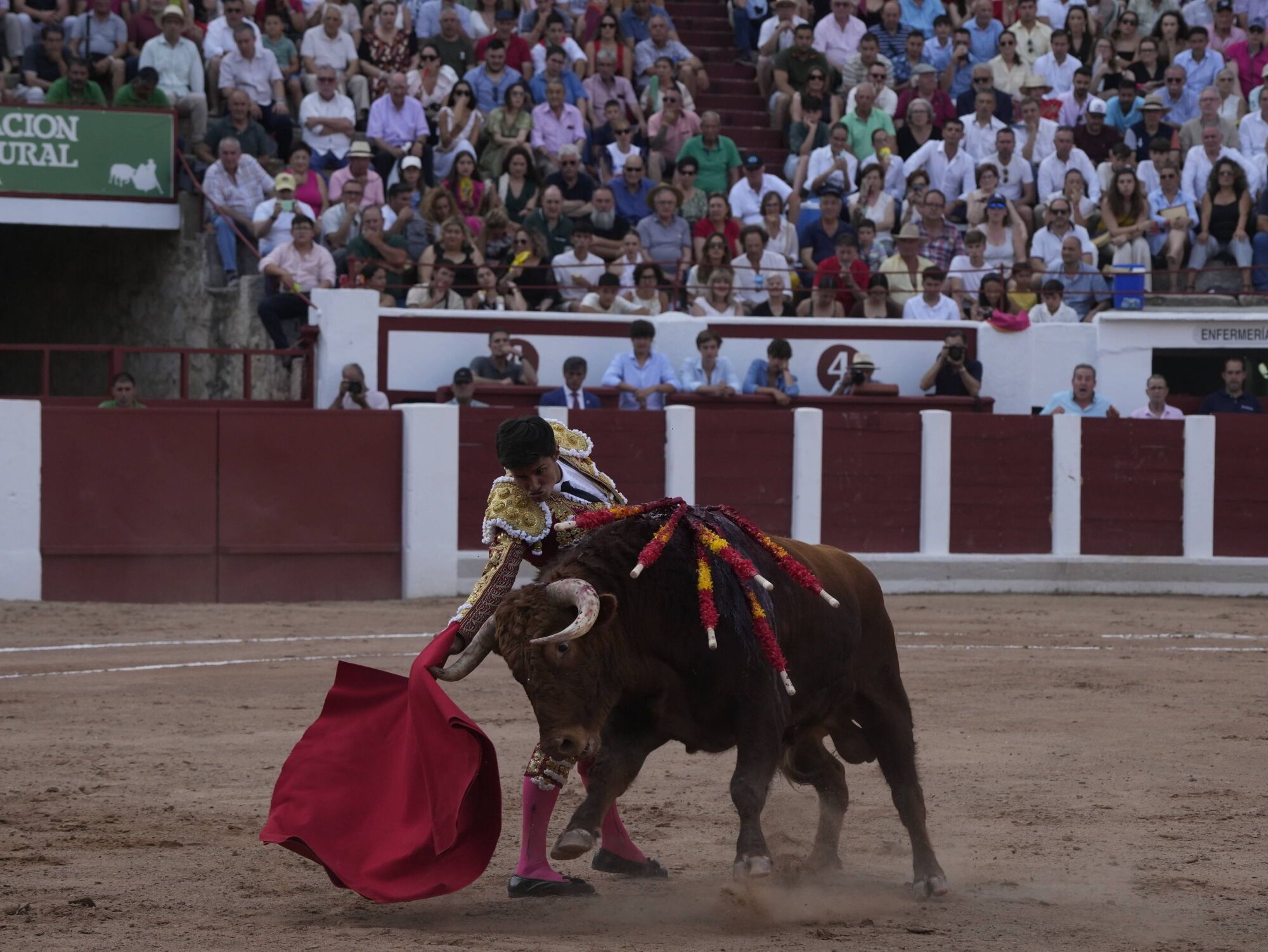 Las mejores imágenes de la feria taurina de San Pedro en Zamora.