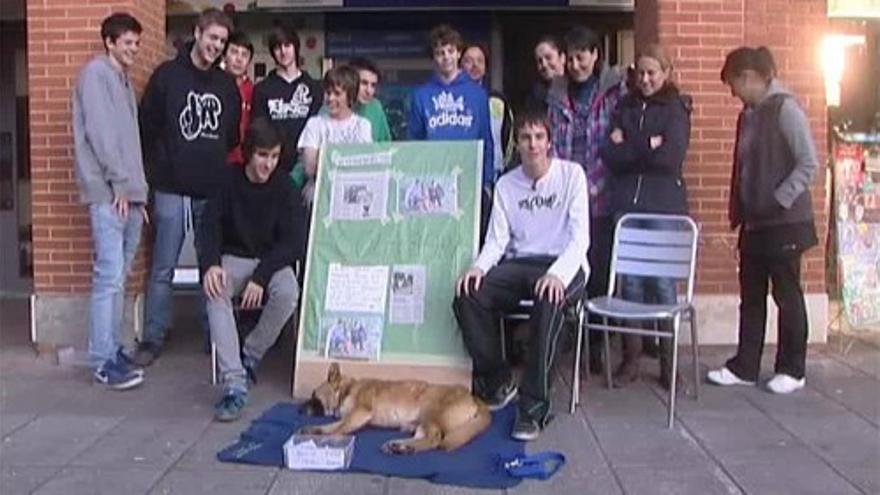 Un grupo de niños salvan a un perro atropellado en Oviedo