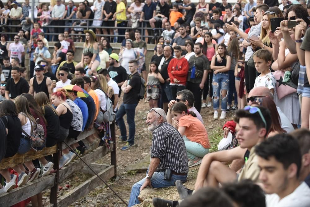 Vaquetes de Santpedor 2018