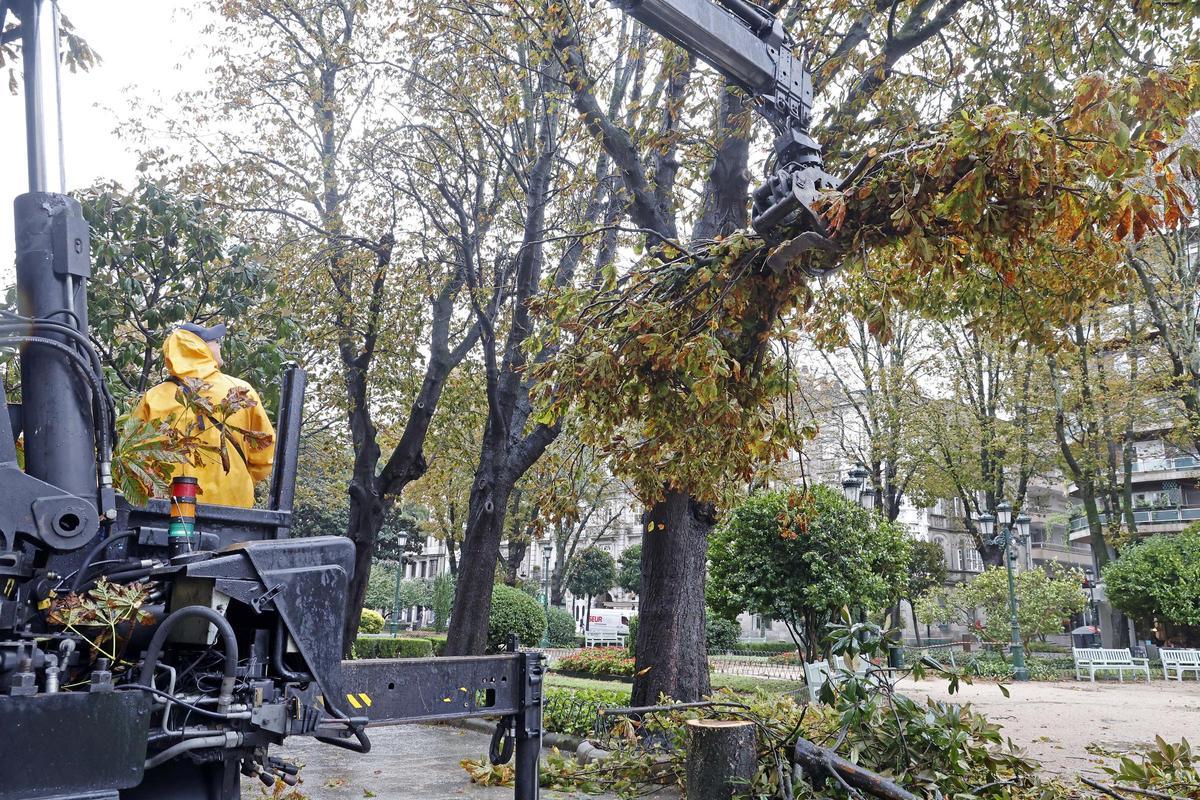 Árboles caídos por el temporal en la Alameda de Vigo