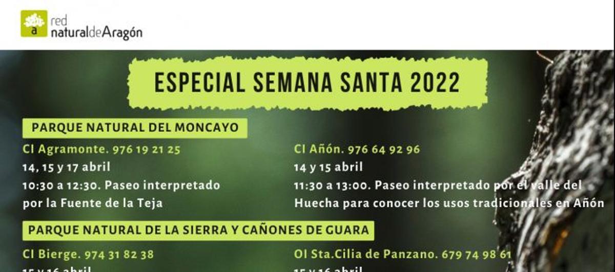 programación en Semana Santa