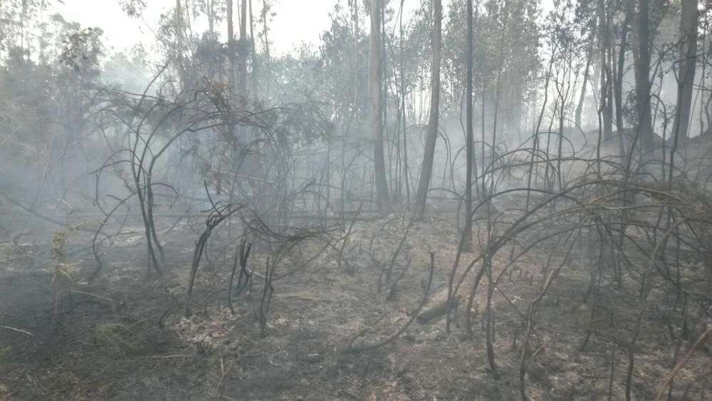 Sofocan dos incendios forestales en Sada