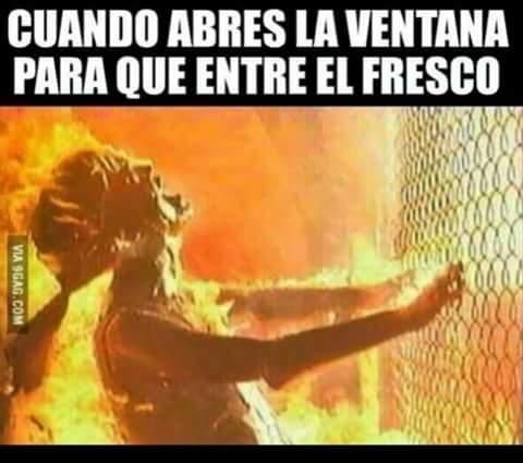 Memes sobre el calor