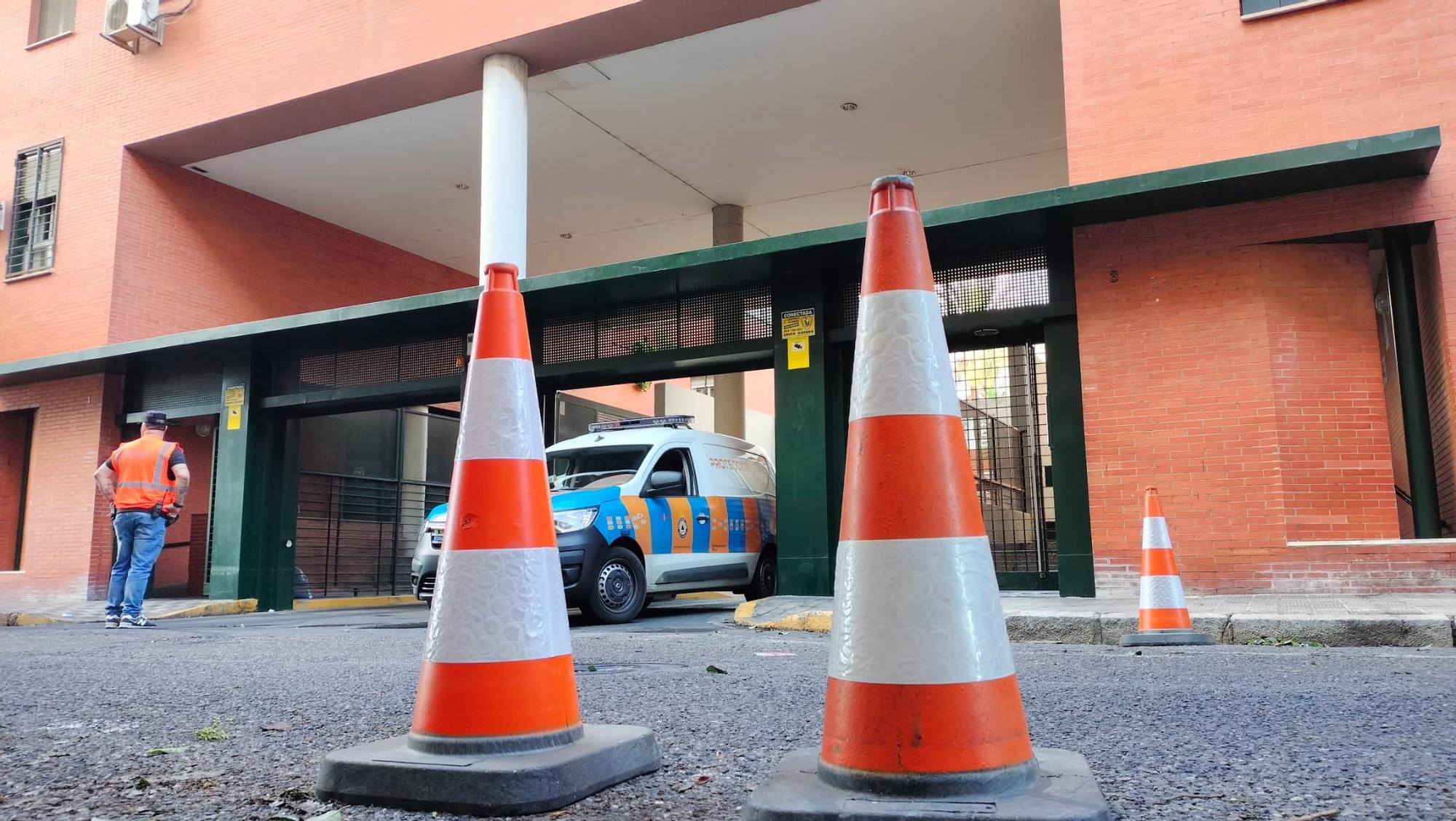 Las imágenes del incnedio en Pino Montano