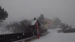 Caen los primeros copos de nieve en la sierra de Madrid