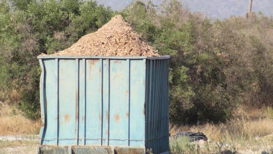 Las ramas de los contenedores son transformadas en biomasa.