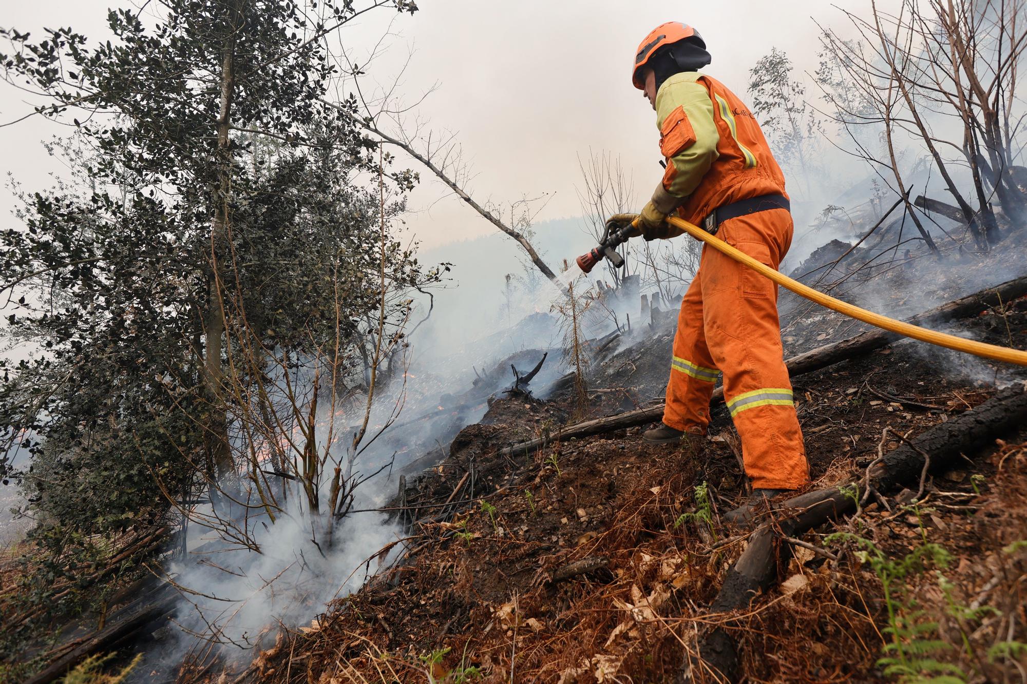 Dura lucha contra los incendios de Tineo y Valdés