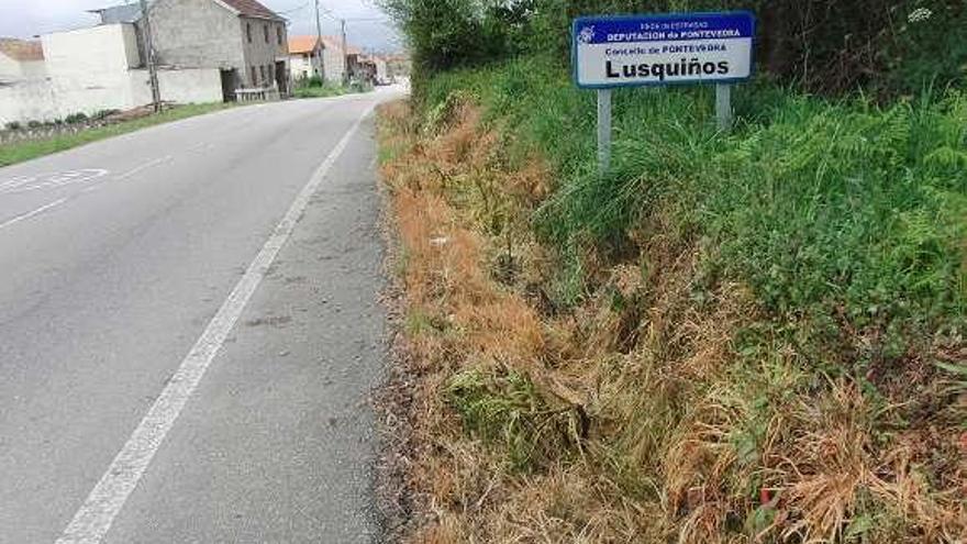 Cuneta cuya vegetación fue quemada con herbicidas.  // FdV