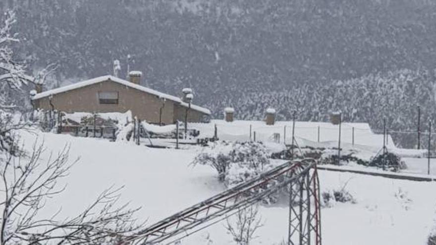 Torres elèctriques doblegades pel pes de la neu i l&#039;envestida del vent a Gósol