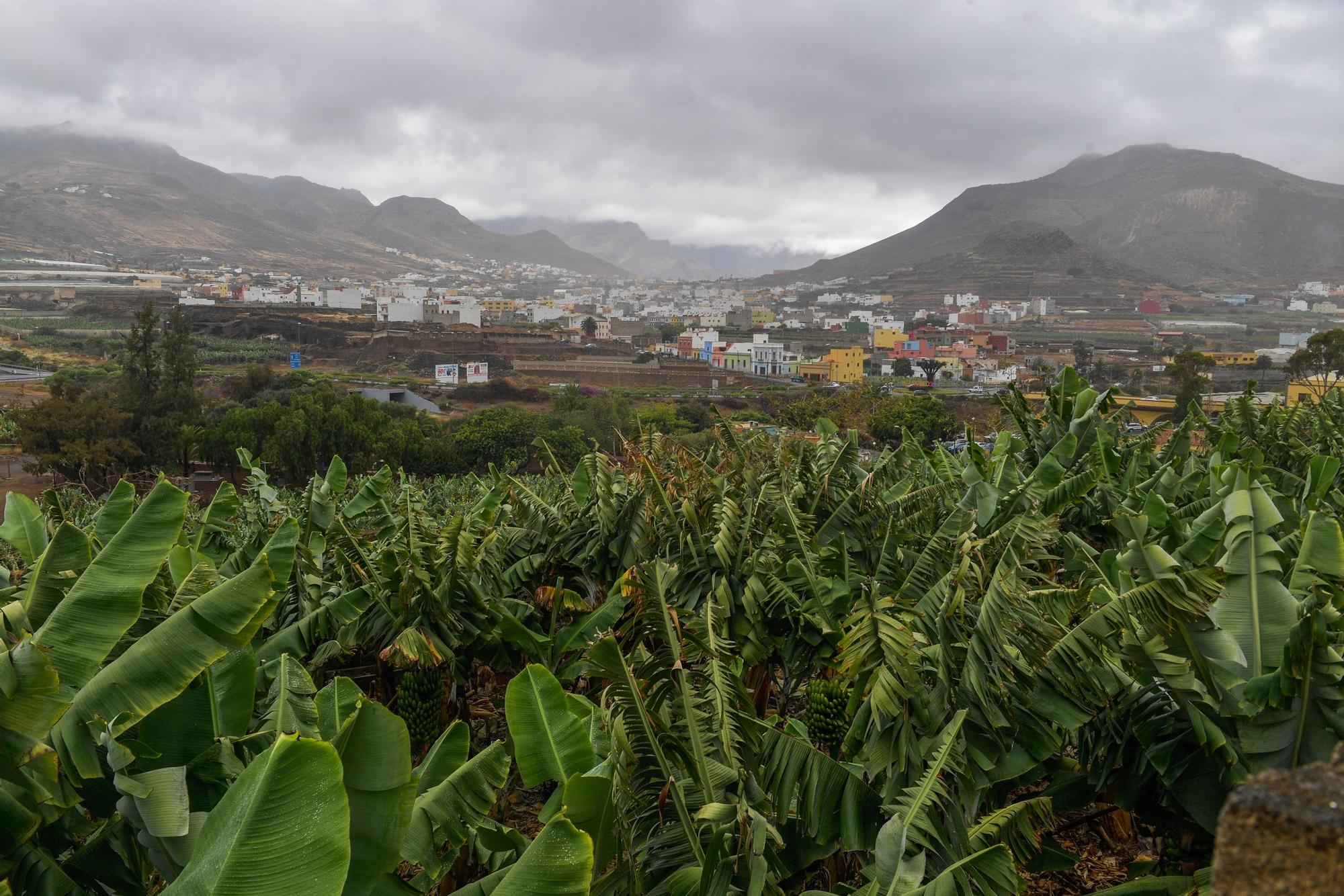 Tiempo en Gran Canaria (10/07/2021)