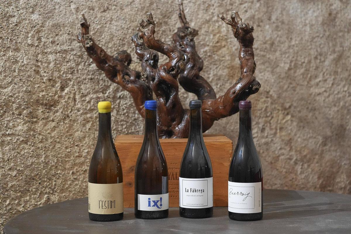 Els quatre vins de Somnidistiu.