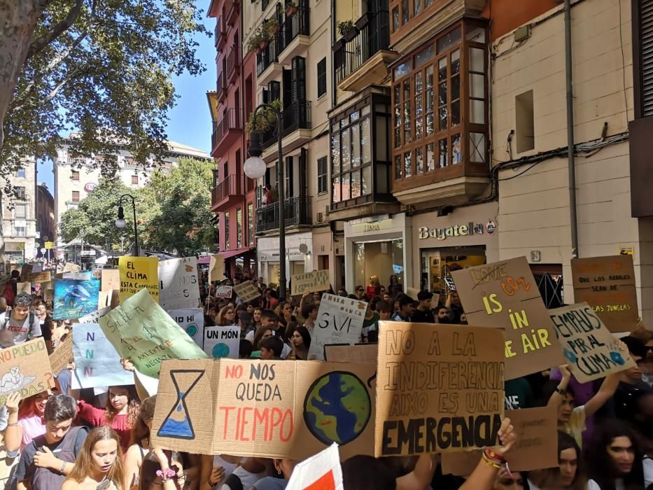 Die große Klimaschutz-Demo auf Mallorca