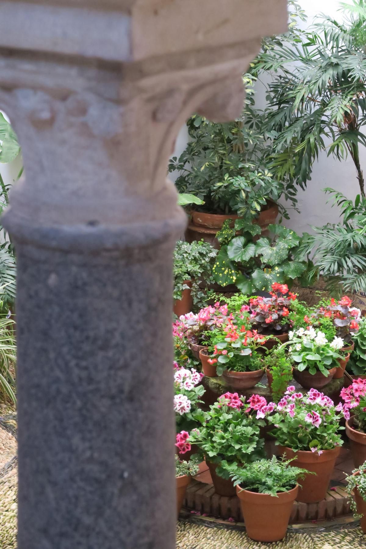 Apurando la fiesta de los patios por la Judería