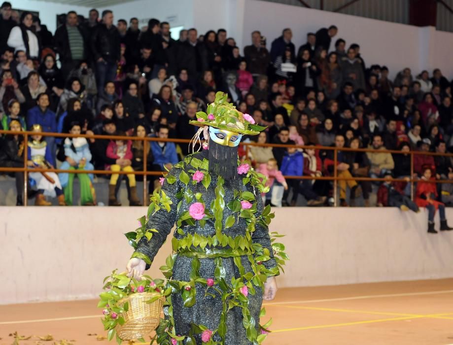 Entroido en Deza 2016 | Maquillajes y trajes de colores en Lalín y Vila de Cruces