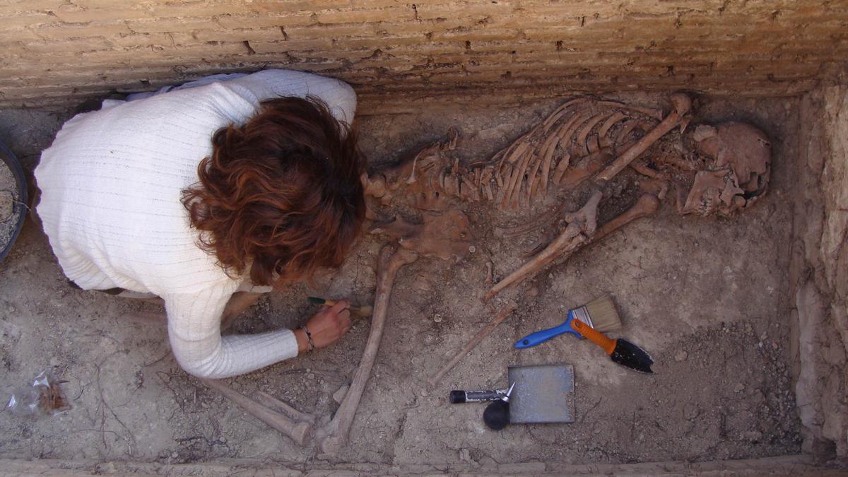 Trabajos de exhumación en una fosa común de la provincia de Córdoba. 