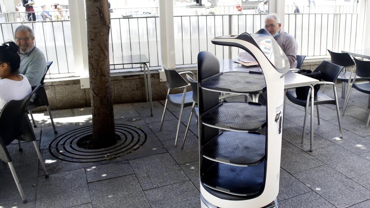 Robot camarero del restaurante La lobera de Martín