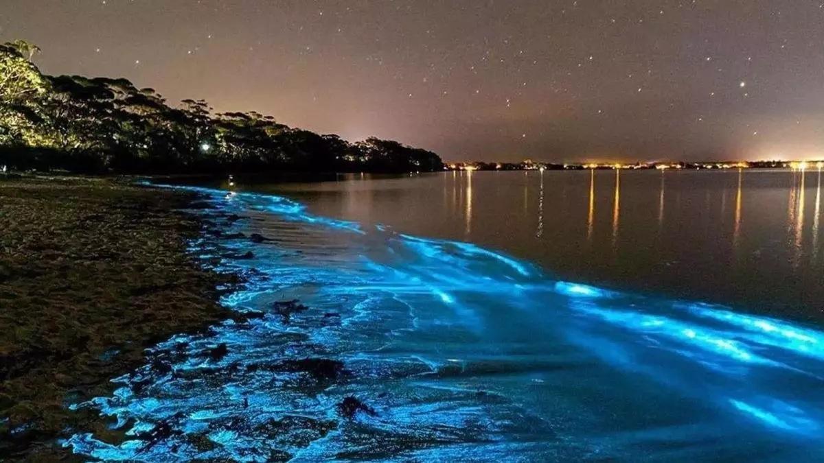 Fenómeno luminiscente conocido como mar de ardora.