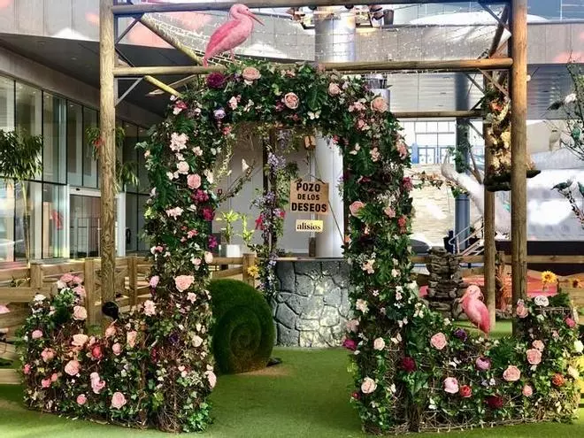 Alisios vive el Carnaval