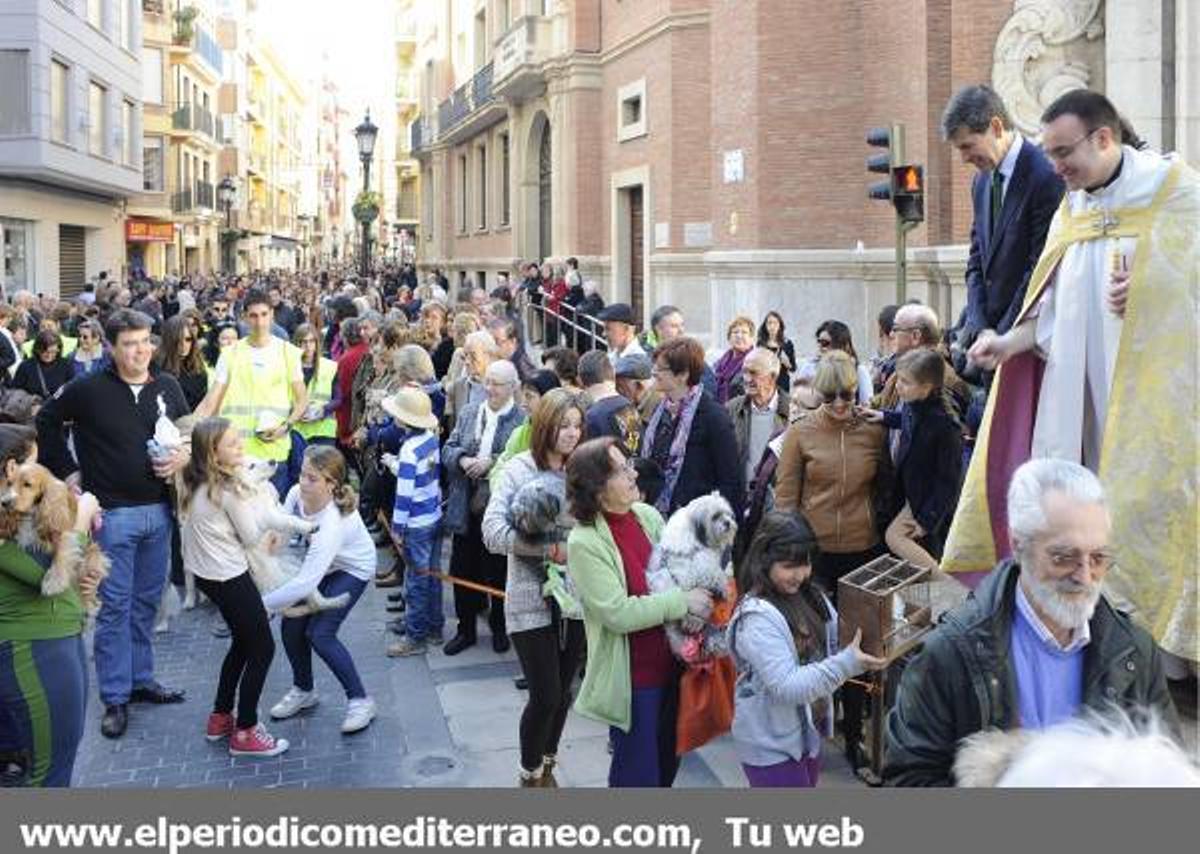 GALERÍA FOTOS: Castellón celebra Sant Antoni