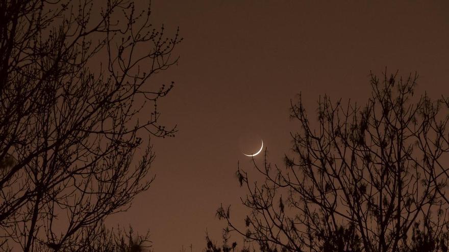 ¿Predicen los árboles los eclipses? Dos investigadores ponen los puntos sobre las íes