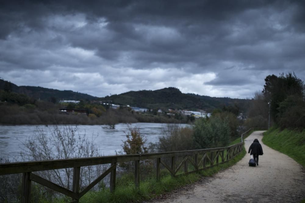 Los efectos de la borrasca Elsa en Galicia