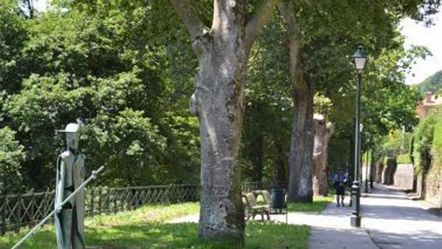 Camino de Santiago a su paso por Tineo.| | CEDIDA A LNE