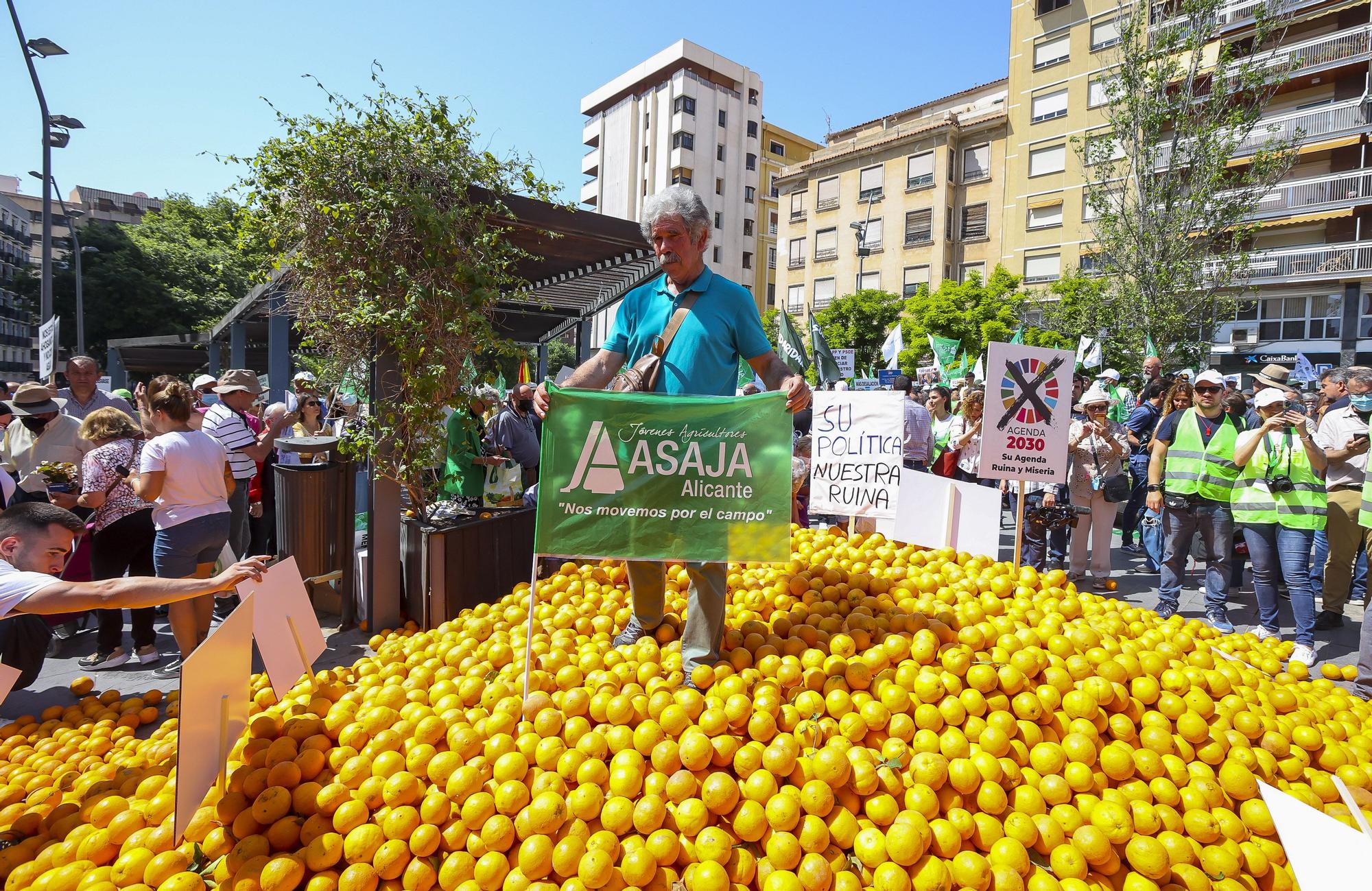 Los agricultores dictan sentencia: el recorte del Tajo-Segura nos lleva a la ruina y la clase política no ha hecho nada