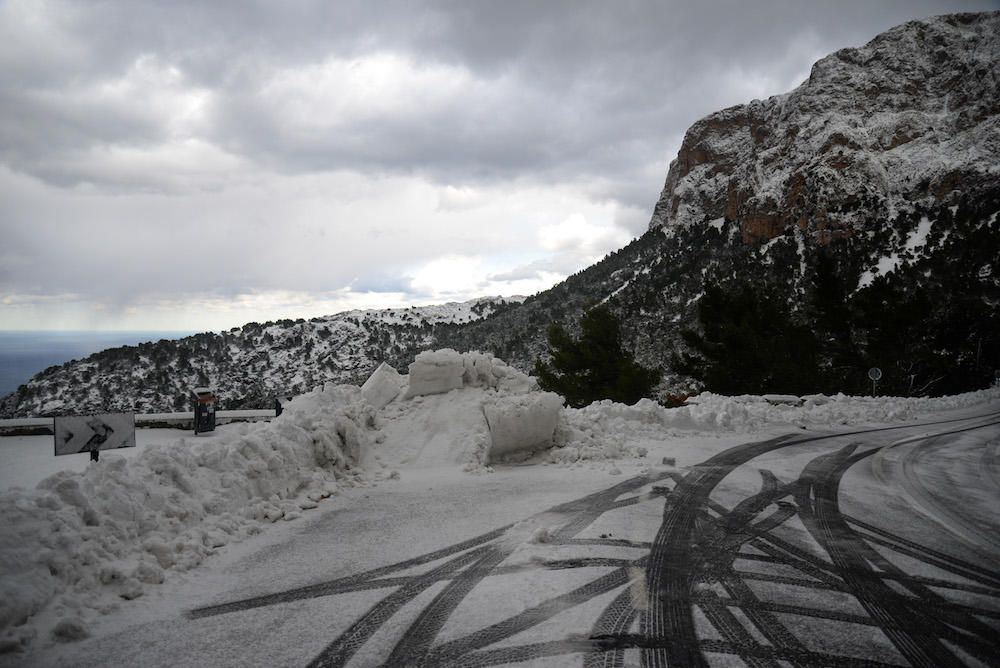 Der frühe Schnee hat am Samstag (2.12.) zahlreiche Insulaner in die Tramuntana gelockt, wo es die seltene Gelegenheit zu Schneeballschlachten oder zum Bau von Schneemännern gab.