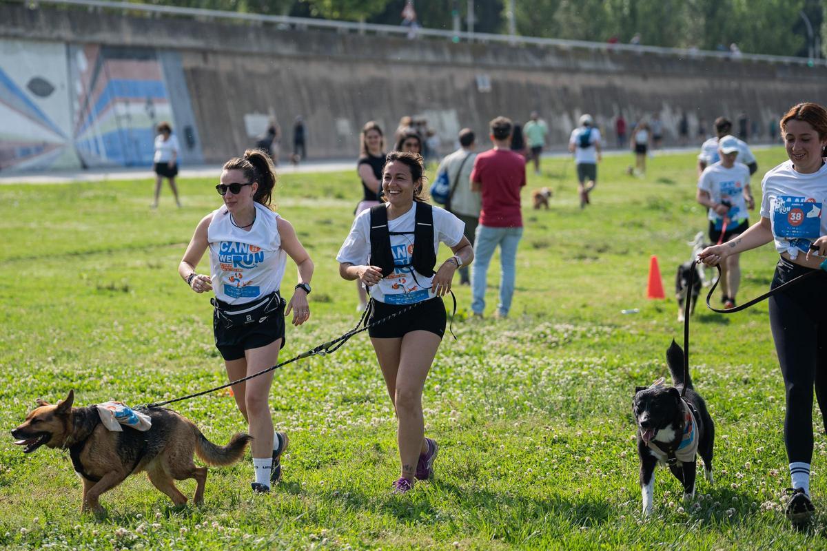 Carrera Can We Run 2025