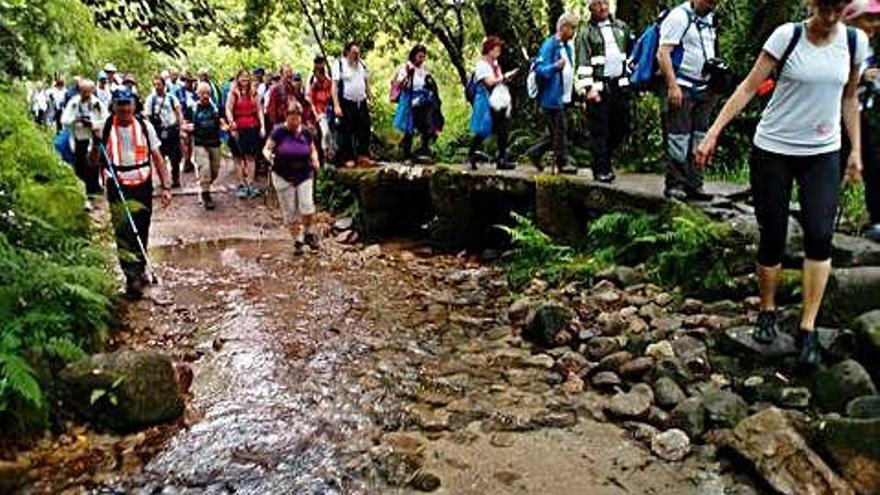 Caminar, uno de los ejercicios básicos para controlar la diabetes.