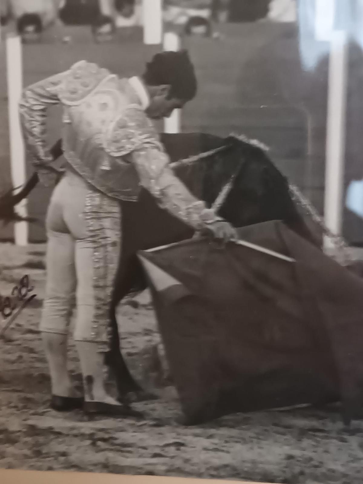 GALERÍA | La carrera novilleril del zamorano Antonio Luis, en imágenes