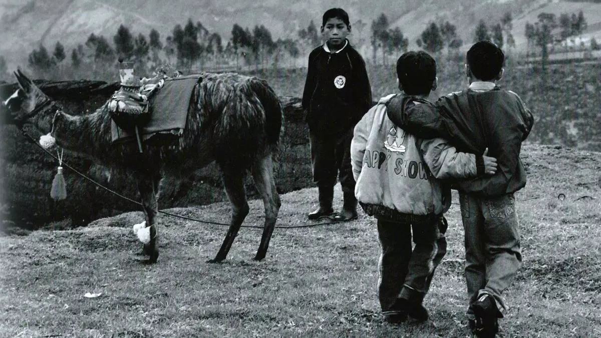 Gracias, querida Tierra
