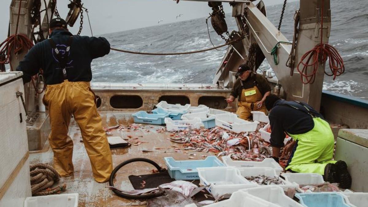 Pescadores en una barca de ‘bou’ faenando el pasado abril en aguas de Balears.