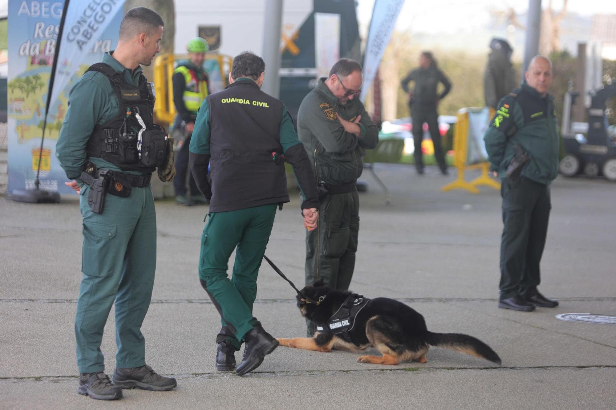 Exhibición de la Guardia Civil en Abegondo