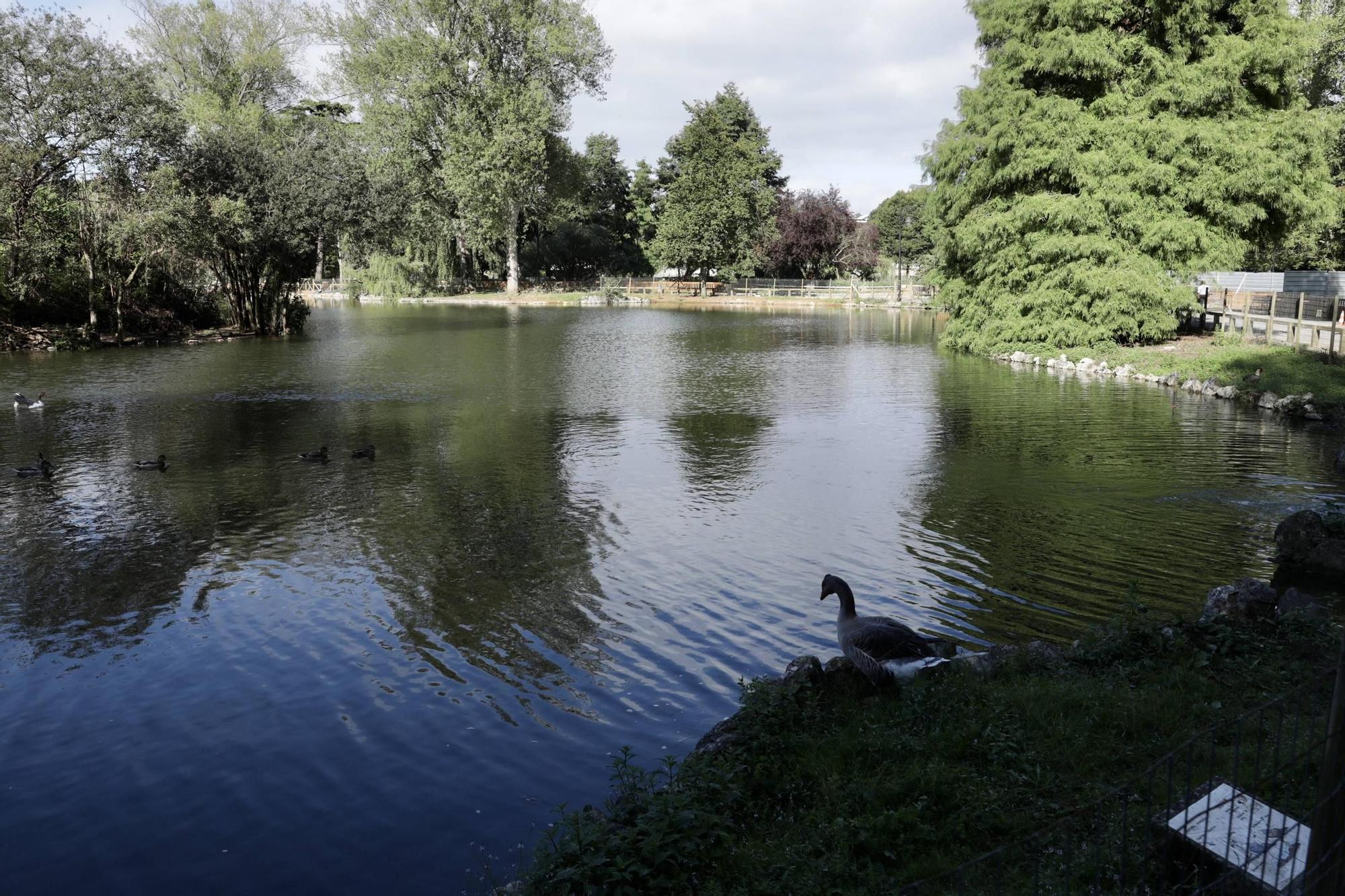 El gran estanque de Isabel la Católica vuelve a llenarse de vida (en imágenes)