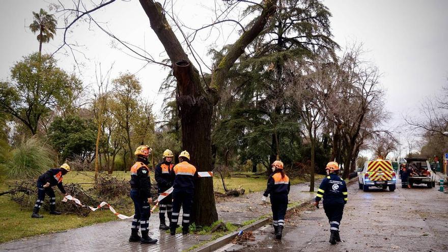 El PSOE pide un plan extraordinario de mantenimiento urbano para 2026 en Córdoba