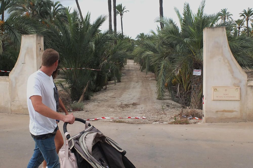 La ruta del Palmeral, abandonada