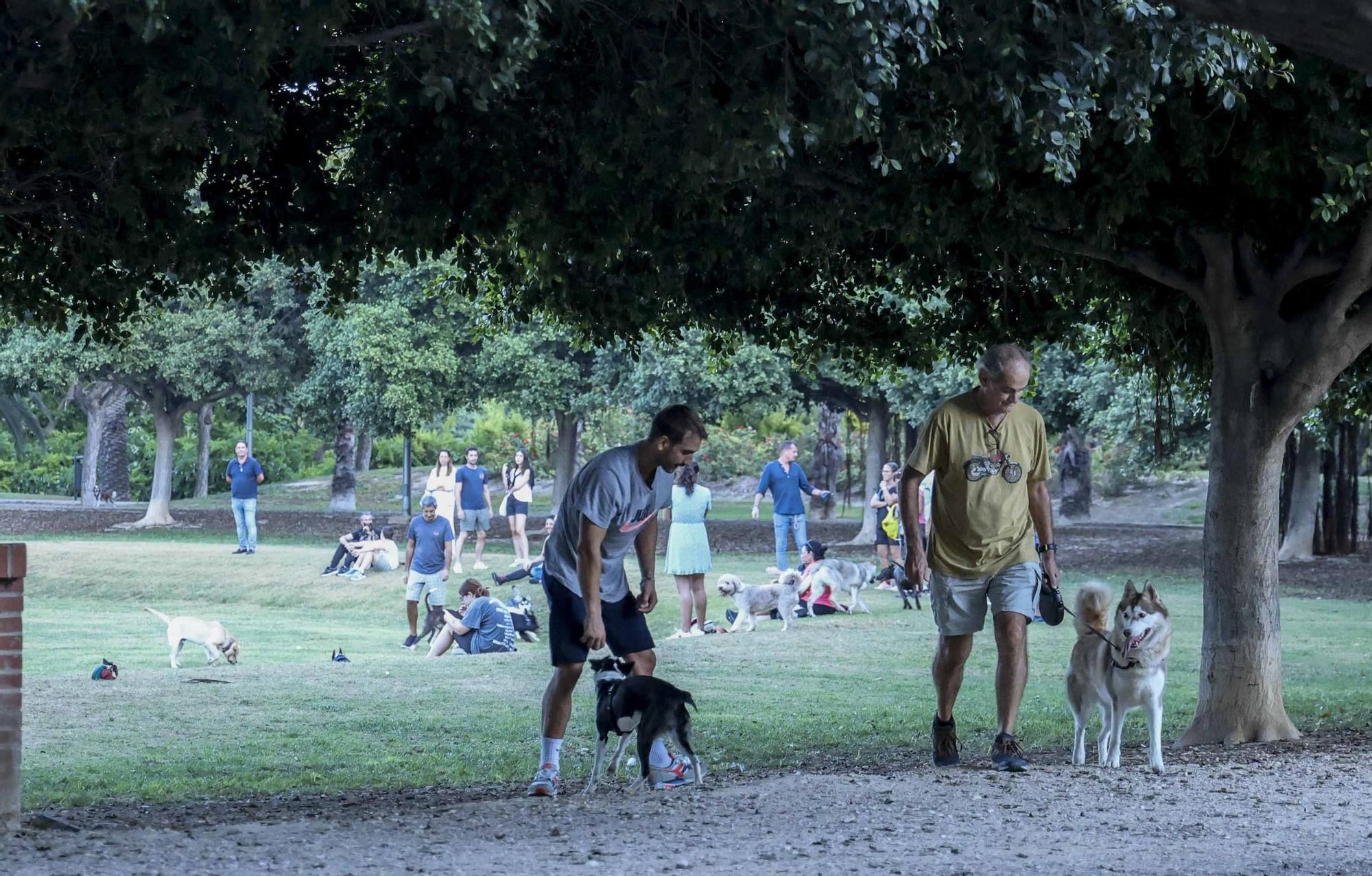 Los perros reivindican un espacio digno en el parque Sergio