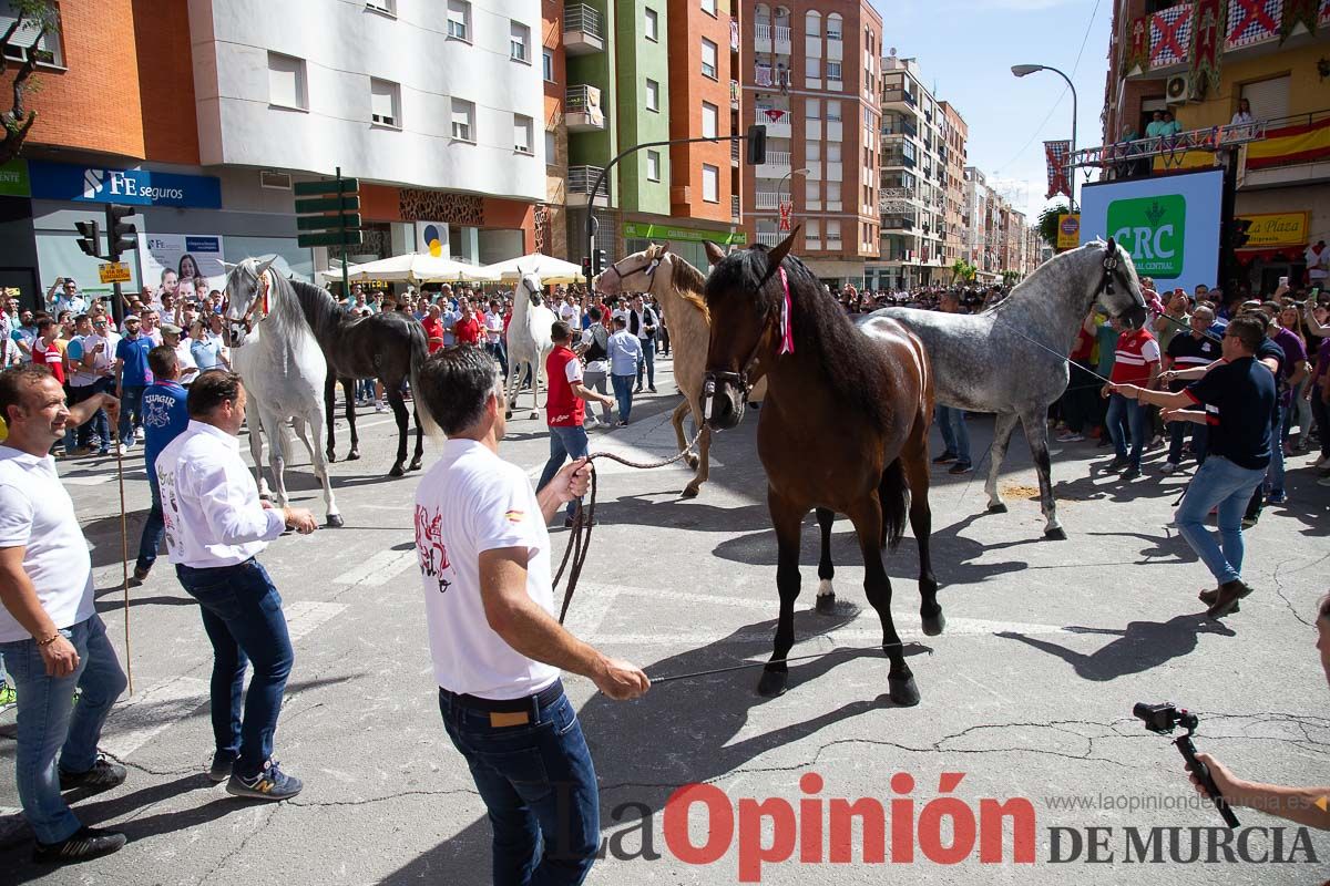 Pasacalles caballos del vino al hoyo