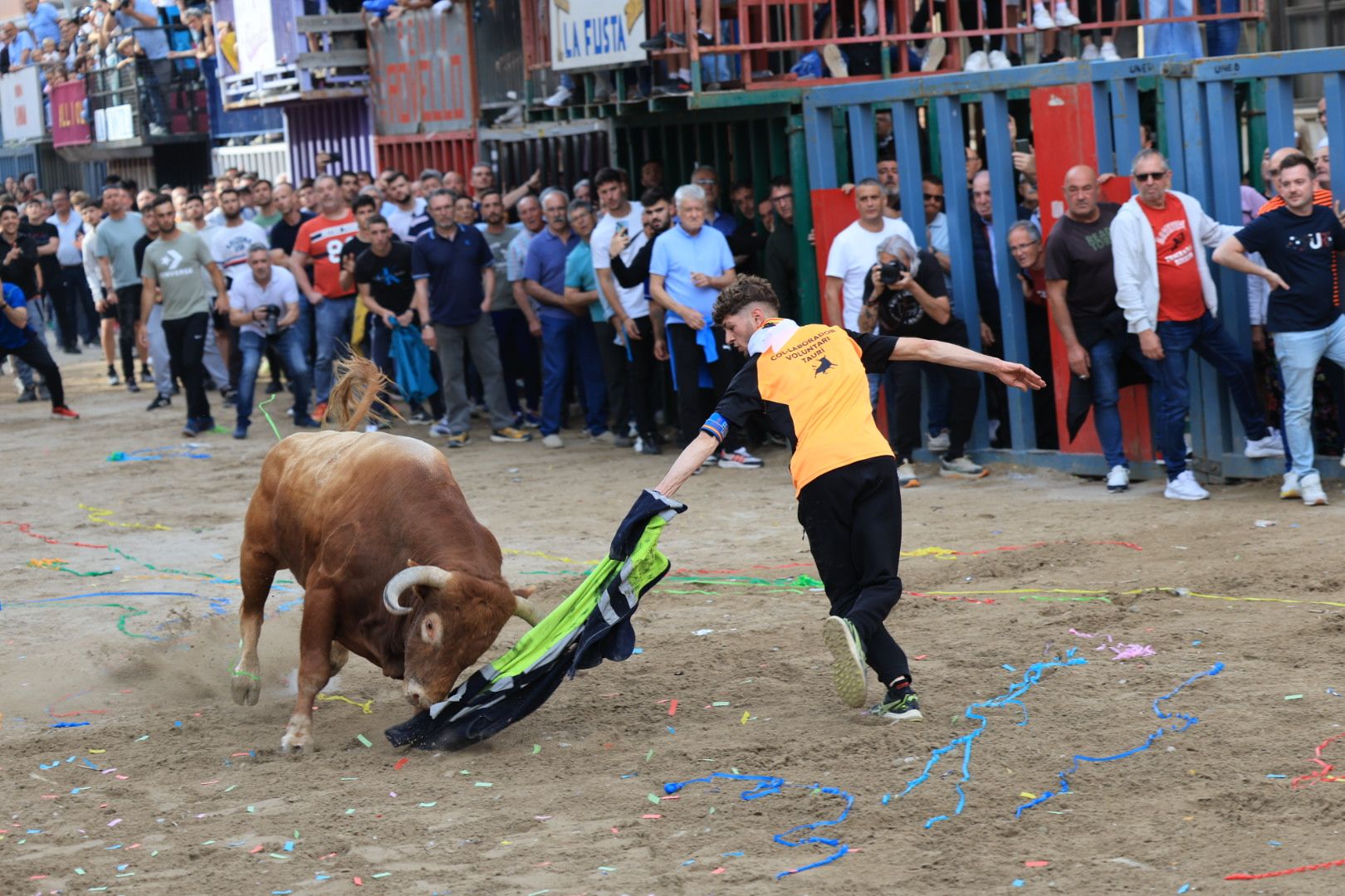 Fotos de la tarde taurina del jueves de las fiestas de Sant Pasqual en Vila-real