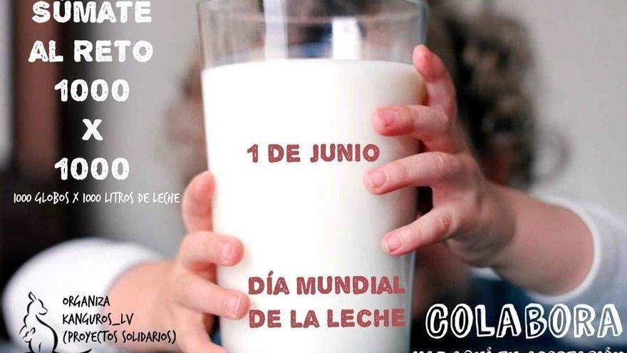 El Día Mundial de la Leche se celebra de forma solidaria