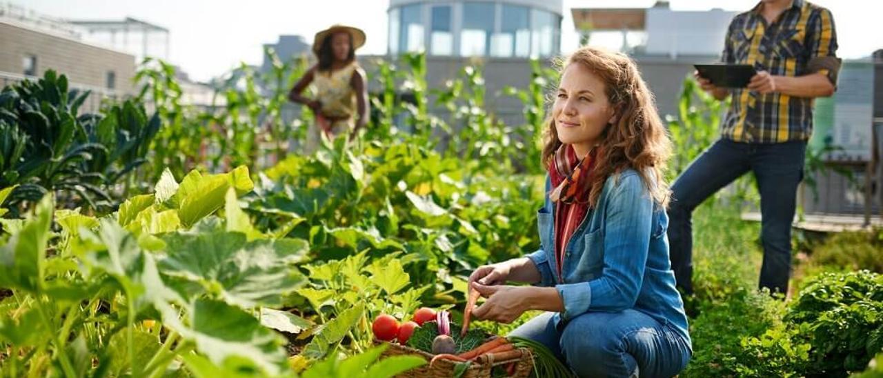 Imagen promocional del proyecto Ecólatras de Ecovidrio.