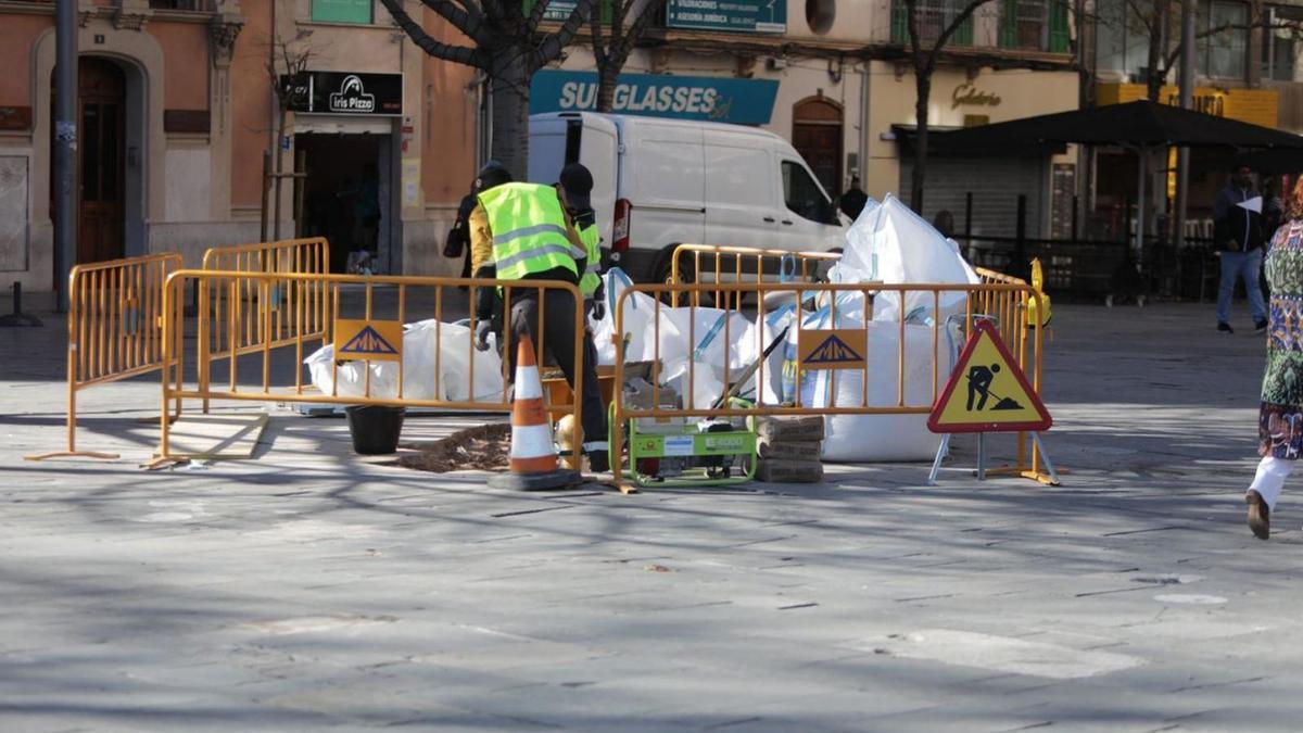 Una de las numerosas catas realizadas ayer en la plaza de España.