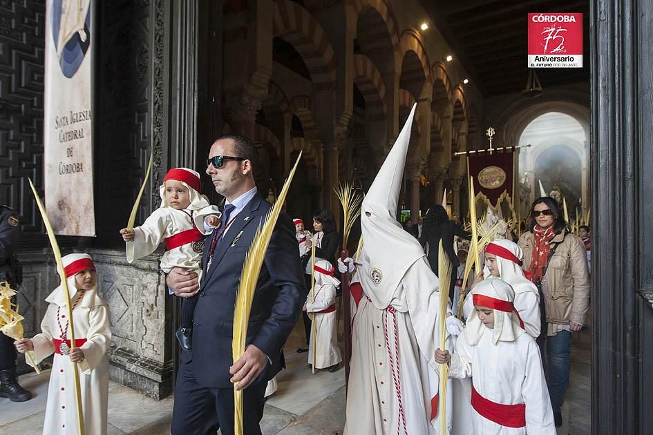 FOTOGALERÍA / Hermandad de Nuestro Padre Jesús de los Reyes en su Entrada Triunfal en Jerusalén