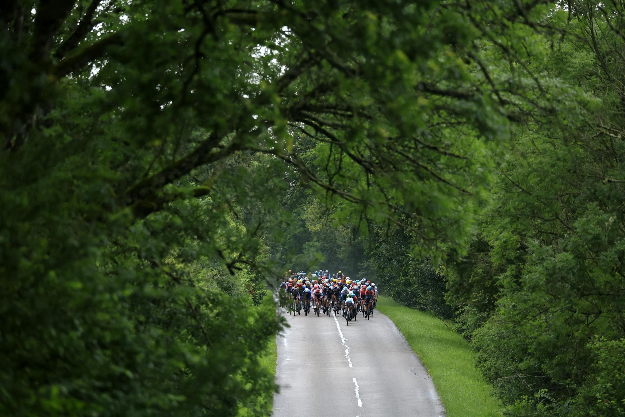 Tour de France 2024 - Stage 8